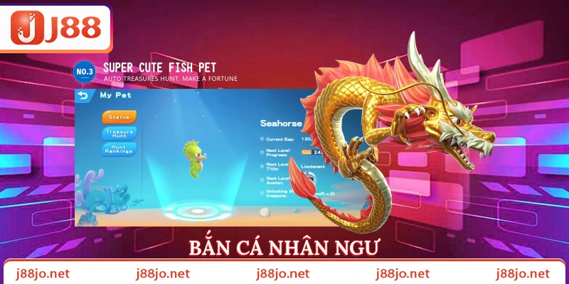 Bắn cá nhân ngư