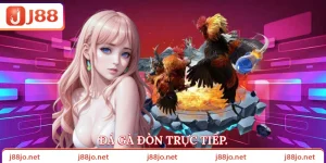 Đá gà đòn trực tiếp