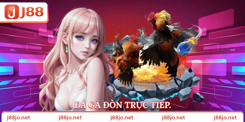 Đá gà đòn trực tiếp