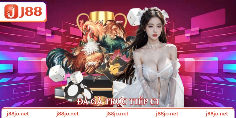 Đá gà trực tiếp C1.