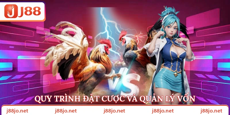 Quy trình đặt cược và quản lý vốn